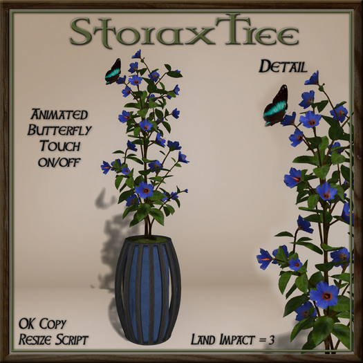Dark Beauty Planter A6