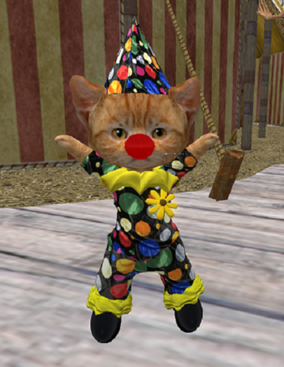 Dinkie Clown Multi