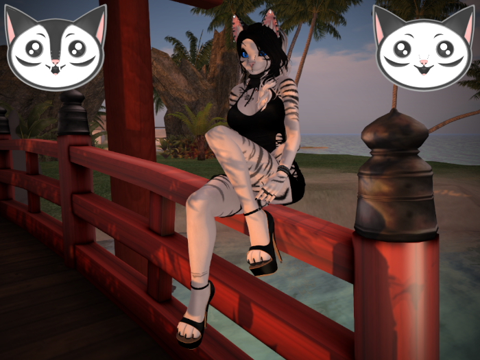 Pumps for AP: Feety Peets Maitreya Digi and Mid