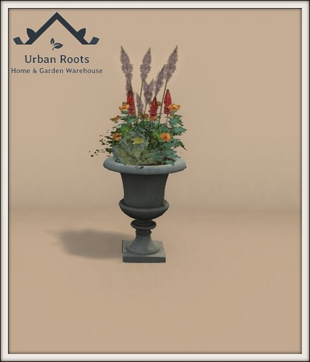 UR Autumn Mums In Urn (Cement) 