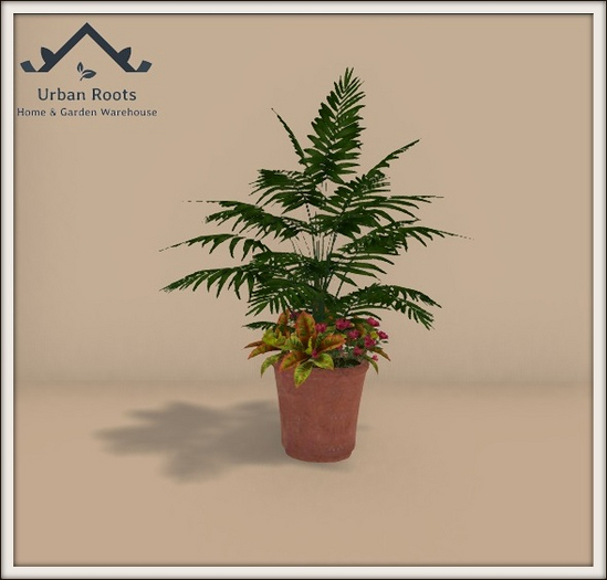 UR Cat Palm Mixed Planter 