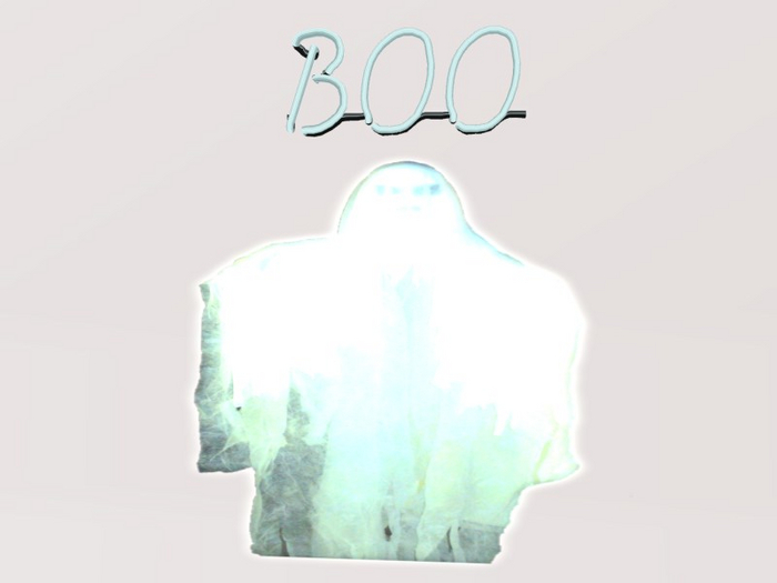Boo Neon Ghost Decoration     
