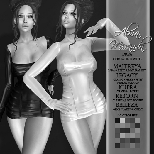 DEMO .: AlmaMiranda :. Sublime Longsleeve Mini Dress
