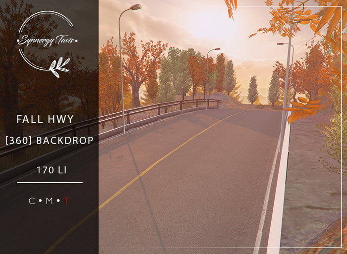 SYNNERGY.TAVIS//Fall Hwy Backdrop 