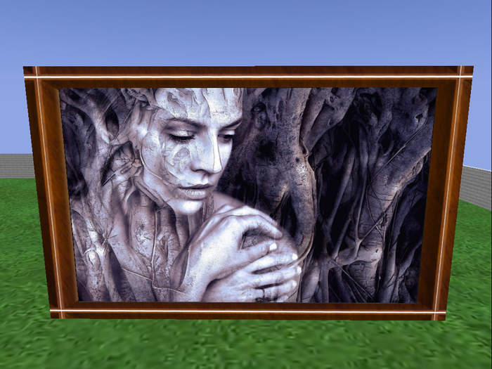 Beautifull Picture with frame - wooman shadows on trees