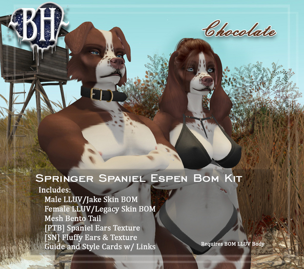 ~BH~ Springer Spaniel //Chocolate Mod