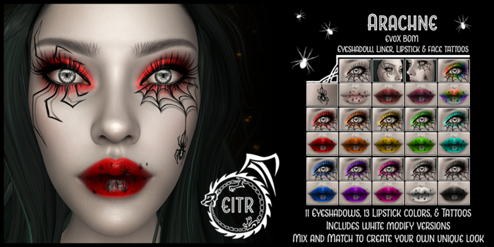 EITR - Arachne - Demo