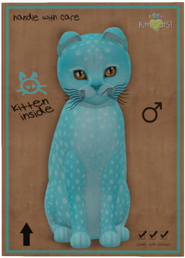 KittyCatS Box - Fur: Cheetah! - Blue Raspberry