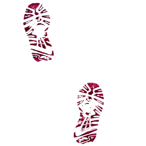 Bloody Sneaker Prints
