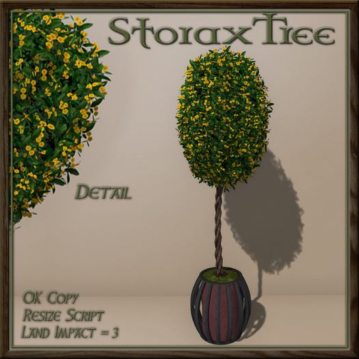 Dark Beauty Topiary Floral C10