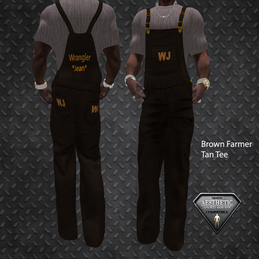BROWN Overalls Outer#1