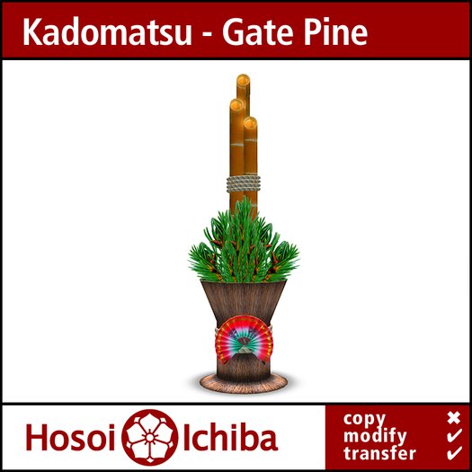 Discount - Japanese Kadomatsu Gate Pine - 02