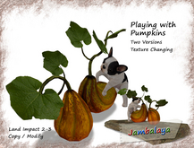 Playing with Pumpkins