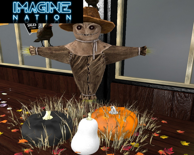 IMAGINE Scarecrow