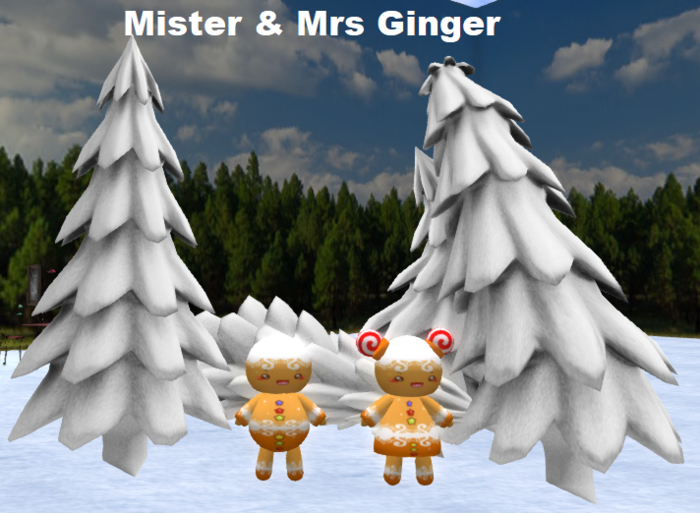Mister & Mrs Ginger