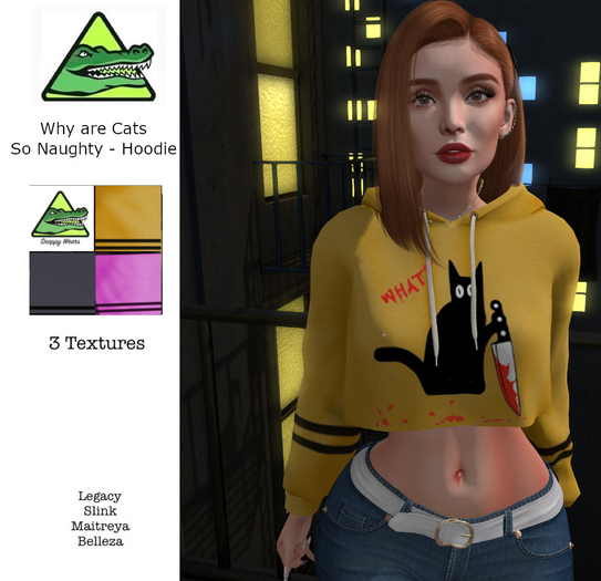 Snappy \\Why are cats so naughty  Hoodie