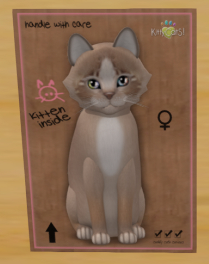 KittyCatS Box - mocha-hideaway-silver