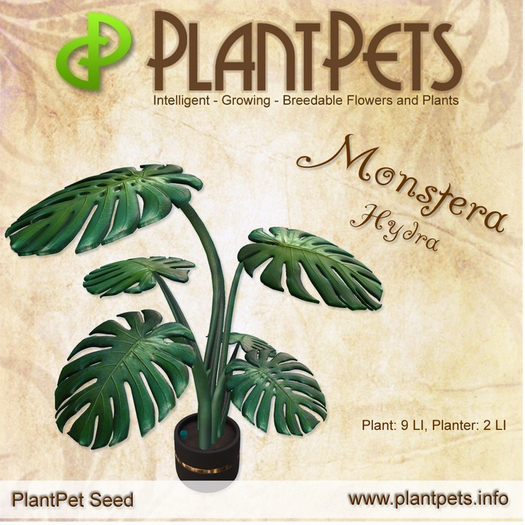 PlantPet Seed [Monstera *Hydra*]
