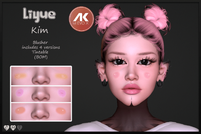 Liyue-Kim-LeL EvoX & AK- (BOM) FATPACK
