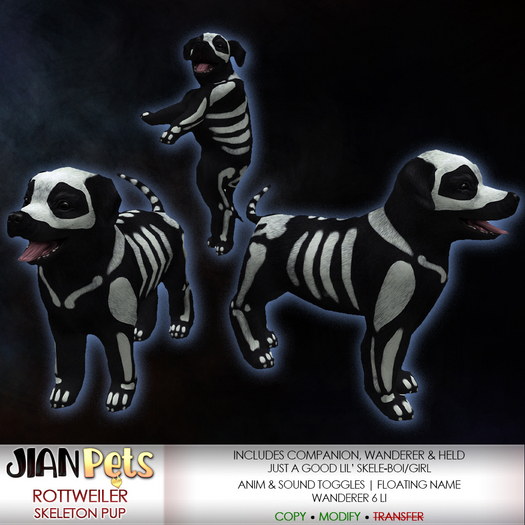 JIAN Classic Rottweiler / Skeleton Puppy 