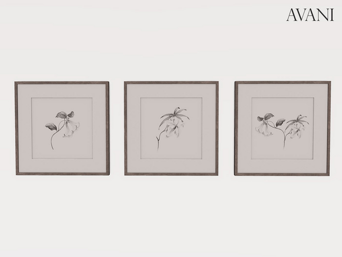 Avani Orono Collection Floral Drawings