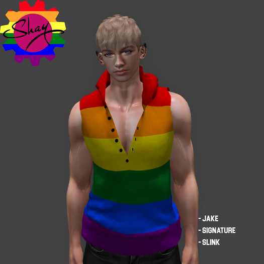 Rainbow Sleeveless Hoodie