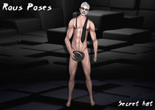 *Rous Poses  - Secret hat