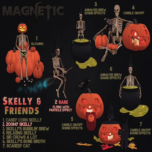 02 Magnetic - Zoomy Skelly RARE
