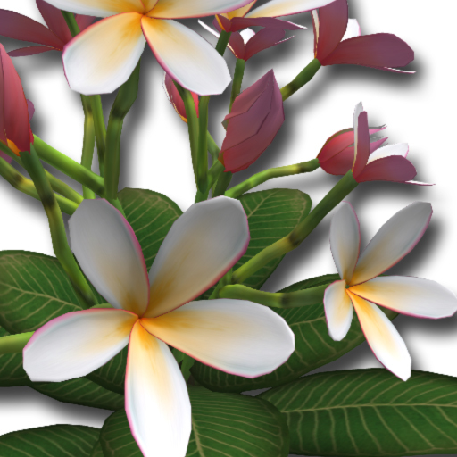 [AG] Full Perm Plumeria Kit