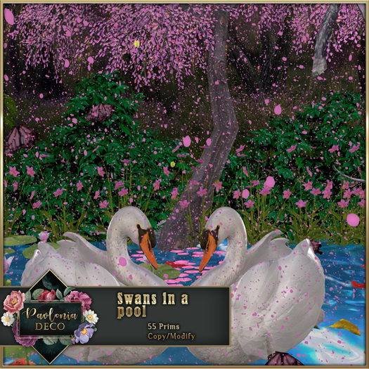 Swans in a pool 