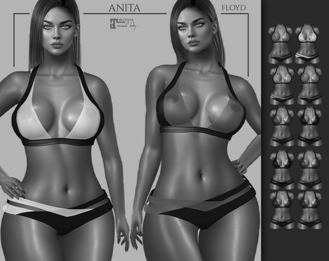 .:FLOYD:.Anita Demo