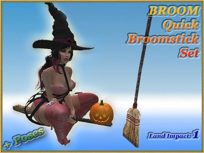 BROOM - Quick Broomstick Set (1 LI) (Full perm)