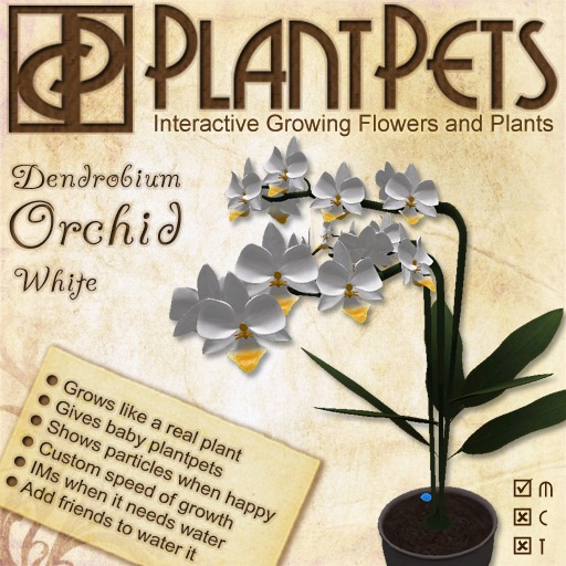 PlantPet Seed [Dendrobium Orchid *White*]