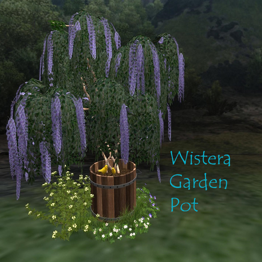 -MBC-Wistera Garden pot