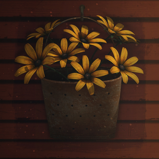 Wallflowers (Black-Eyed Susan)