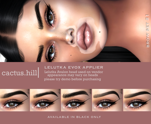 C.H- Brow Set #1- Evox 