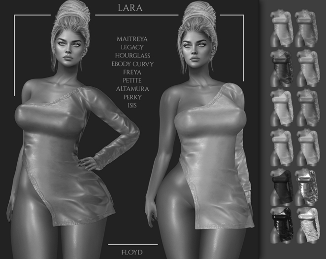 .:FLOYD:.Lara Demo