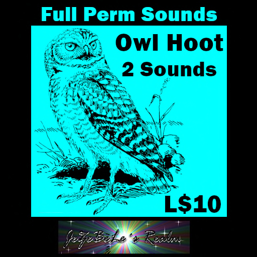 (JDSOUND) Owl Sounds