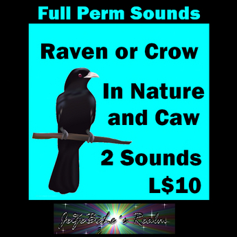 Second Life Marketplace - (JDSOUNDS) Raven Sounds