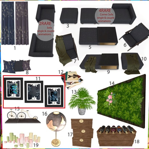 11#Torika Astra Frames