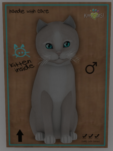 KittyCatS Box - Genesis - Pearl II - 4+1t M Toy