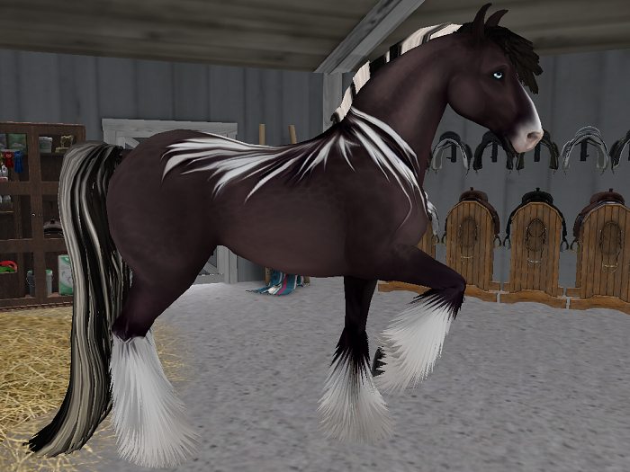 {I}Peryton Ranch{I} - Journey