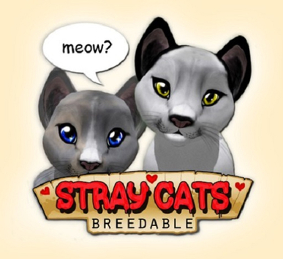 Stray Cats Kitten - Stray Kitty (M)