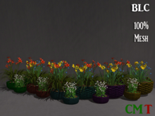 BlC Spring Flower Baskets III fatpack