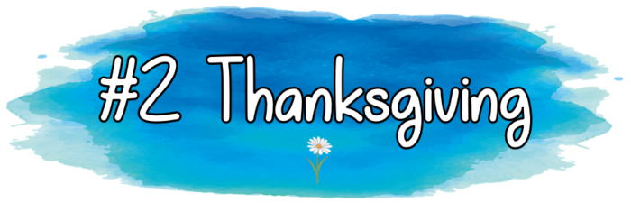 Trivia Daze - #2 Thanksgiving - For Trivia Balls