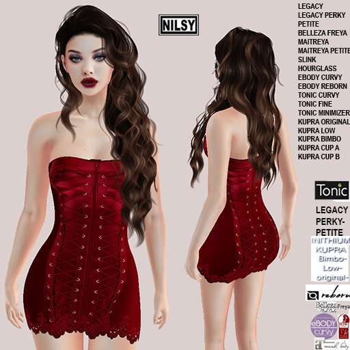 RED LACED CORSET DRESS,MESH BODY