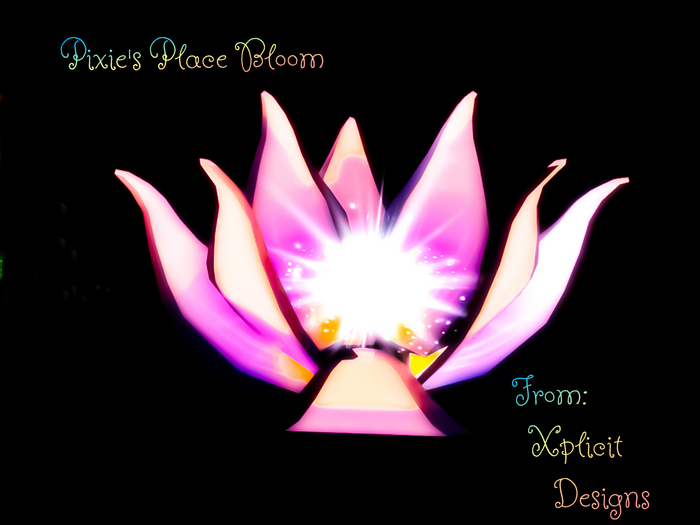 Pixie's Place Bloom