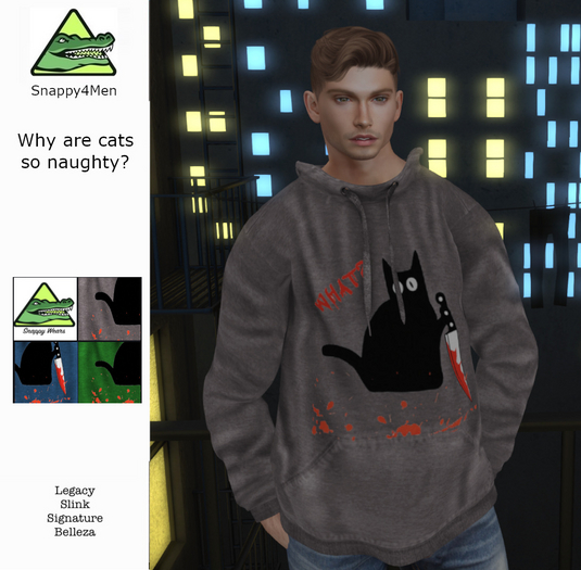 Snappy4Men - Why are cats so Naughty Hoodie