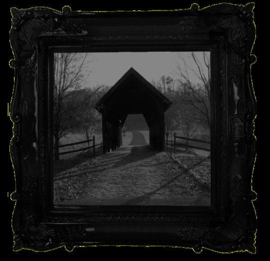 Nymphoto - Wintery Bridge