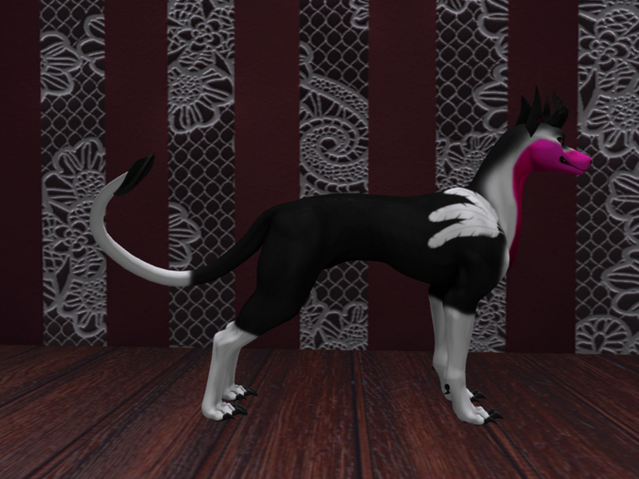 NOODLEMOD Halloween Hund 6 BOXED !!FREEBIE!!